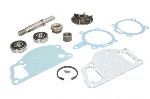 Set reparatie pompa apa CASE IH 475
