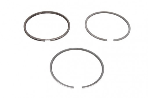 Set segmenti piston (100mm (STD) 2,5-2,5-5,5) FIAT 1000, 400, 500, 600, 900; FIATAGRI 1000 8035.02-8065.04.200 1968-1986