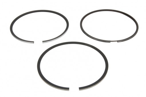 Set segmenti piston (102mm (STD) 2,94-3-3) DEUTZ AG CHEM GLEANER; AGCO 9000; DEUTZ FAHR 120, M, MSS / GRASLINER, TOPLINER (4000); LIEBHERR dreapta BF6L913C