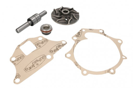 Set reparatie pompa apa NEW HOLLAND 230, 230 A, 231, 233, 2000, 2100, 2110, 2120, 2150, 2300, 2310, 2310 N, 2600, 2600 N, 2600 R, 2600 V, 2610, 2610 N, 2610 V, 2810, 2910, 333, 335, 3000, 3055