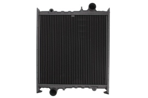 Radiator motor potrivit FENDT 303 LS FARMER, 304 LS FARMER, 304 LSA FARMER, 304 S FARMER, 305 LS FARMER, 305 LSA FARMER, 306 LS FARMER, 306 LSA FARMER, 307 A FARMER