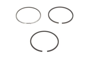 Set de segmente de piston (100 STD 3,5-2,5-3,5) potrivit URSUS 3822,3824; Case IH 11,80 C si alte modele - 100.0 mm - cod 800043810000