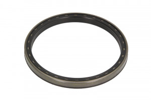 Simering etansare (1Rulment 65x190x15,5/16,5mm) LANDINI 4-090, 4-100, 5-080H, 5-090D, 5-090H, 5-100D, 5-100H, 5-110D, 5-110H, 5.115H, 7865, 8860, 8865, 100, 105, 80, 90, 110 - Img 1