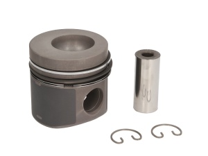 Piston potrivit FENDT 305 LS FARMER, 305 LSA FARMER, 306 LS FARMER, 306 LSA FARMER, 310 LSA FARMER, 310 LSE FARMER, 311 LSA FARMER, 311 LSE FARMER, 312 LSA FARMER (diametru 105mm, STD)