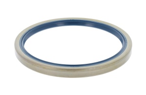 Simering butuc roata potrivit LANDINI 10000, 13000, 16500, 16550, 17500, 17550, 530 F, 530 L, 560 F, 560 L, 5500, 5530, 5560, 5830, 5840, 5860, 630 L, 6030, 6040, 6060, 6500 (145x170x13)