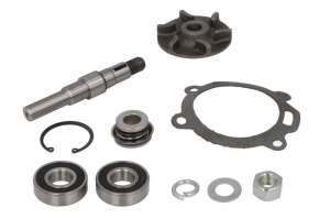 Kit reparare pompa de racire, garnituri; inel; manson; pana; rotor fund; rulment; articulatie sferica potrivit URSUS 4512,4514; Case IH 475; FORD 5000; Landini 65,65 F