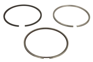Set segment piston (100mm (STD) 3,5-2,5-4) 1004.40T; 1004.40TW; 1004.4T; 1006.6T; 1006E-6TW; T4.40CC; T6.60CC potrivit RVI MIDLINER; NISSAN ATLEON, ECO-T; JCB 200,3,4,500