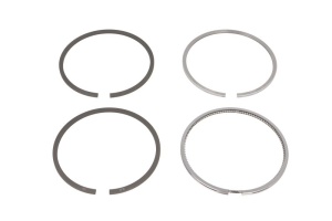 Set segmenti piston (100 STD 3-2,5-2,5-5) potrivit FENDT 2 D FARMER, 200 K FARMER, 200 S FARMER, 200 SA FARMER, 200 V FARMER, 200 VA FARMER, 201 S FARMER, 201 SA FARMER, 203 K FARMER
