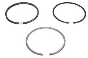 Set segmenti piston (102,5 +0,50 5-2,5-2,94) potrivit FENDT 203 K FARMER, 203 P FARMER, 203 PA FARMER, 203 PB FARMER, 203 PE FARMER, 203 PII FARMER, 203 P/III FARMER, 203 V FARMER