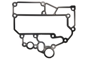 Garnitura radiator ulei potrivita MAN TGA, TGS I, TGX I; FENDT 1000 D2066LF06-D2676LFAY dupa 2004