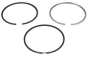 Set segmenti piston (101 STD 2,5-2-3 setat pe motor) potrivit FENDT 307 CI FARMER 2WD, 307 CI FARMER 4WD, 308 CI FARMER, 309 CI FARMER, 309 VARIO, 310 VARIO, 311 VARIO, 312 VARIO, 411 VARIO