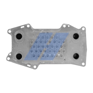 Radiator ulei potrivit FENDT 208 S FARMER, 209 F VARIO, 209 FA VARIO, 209 P VARIO, 209 PA VARIO, 209 S FARMER, 209 V VARIO, 209 VA VARIO, 209 VARIO, 210 F VARIO (120x77x77/250mm) - Img 2
