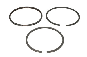 Set de segmente de piston (98,48 +0,06 2,39-3,16-4,747) potrivit URSUS 3110; ALBAJAR 10,420,4420,4480,5000 si alte modele