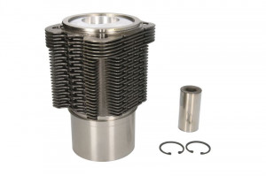 Set piston cu manson (STD) FENDT 300; ABG SAW, SF; AG CHEM GLEANER; AGCO 9000; ATLAS 1000, AB / AB 02; CASE IH 100, S, SC; DEUTZ FAHR 120, ACTOR, AGROPRIMA BF4L913-TD226B-6 - Img 1