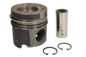 Piston potrivit MAN L2000, M 2000 L, M 2000 M; FENDT 800, 900 BF6M2013-TCD2013L064V dupa 1990 (diametru 108mm, STD)