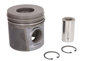 Piston potrivit URSUS 10014 H, 11024, 4022, 4024, 8014 H, 9014 H, 9024; ARMATRAC 854 LUX; LANDINI 5-080H, 5-090H, 5865, 6865, 7860, 7865, 8860, 8865, 80, 90 (diametru 105mm, STD)