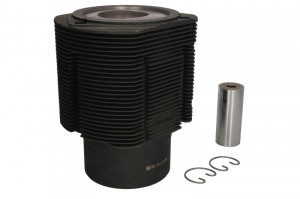Set piston cu manson (STD) AGCO R; DEUTZ FAHR AGROSTAR / AGROSTAR DX, DX, TOPLINER (4000) BF6L413-BF8L513 - Img 1