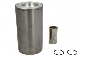 Set piston cu manson (STD) DEUTZ FENDT 300, 400; AHLMANN AS; ATLAS COPCO XAS, COPCO XATS, ZW; DEUTZ FAHR AGROFARM, AGROTRON, AGROTRON K BF4M1012EC-TD226B-4 - Img 1