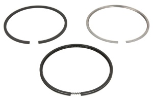 Set segmenti piston (102 STD 2,94-2,5-5) potrivit FENDT 203 K FARMER, 203 P FARMER, 203 PA FARMER, 203 PB FARMER, 203 PE FARMER, 203 PII FARMER, 203 P/III FARMER, 203 V FARMER, 203 VA FARMER