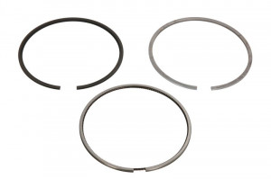 Set segmenti piston 2-2-3) potrivit AHLMANN AL; ATLAS COPCO QAS/QAX; DITCH WITCH RT; GEHL 4000; JLG 800; PUTZMEISTER MIXOKRET; TEREX SKL BF4L1011FT-F4M2011 (94mm (STD)