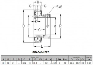 Rulment 40xRulment 80x44, auto-alinierea rulment, cu guler excentric, GRAE40-NPPB / ETS / - Img 3