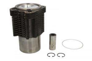 Set piston cu manson potrivit FENDT 2 D FARMER, 200 K FARMER, 200 S FARMER, 200 SA FARMER, 200 V FARMER, 200 VA FARMER, 201 S FARMER, 201 SA FARMER, 203 K FARMER, 203 P FARMER (100mm STD)