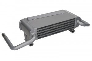 Radiator ulei potrivit FENDT 2 D FARMER, 200 K FARMER, 200 S FARMER, 200 SA FARMER, 200 V FARMER, 200 VA FARMER, 201 S FARMER, 201 SA FARMER, 203 K FARMER, 203 P FARMER (120x37x250mm)