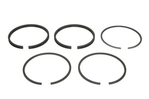 Set de segmente de piston (98,48 STD 2,39-2,39-2,39-6,34) 4.236 potrivit URSUS 3110; AKTIV FISCHER M 800; ALBAJAR 08,10,304,366,3000,420,4300,4306,4420,4480,5000
