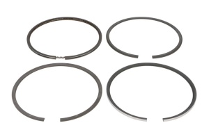 Set segmenti piston (100mm (STD) 3-26-2-4) potrivit FENDT 200, 600, F; RENAULT 1000, 300, 400, 50, 80, 800, 900, R, XX-12, XX-14 D225-6-D327-3