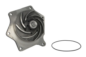 Pompa apa potrivita CASE IH 120 2WD, 130 2WD, 140 2WD, 155 2WD, 155 4WD, 175 2WD, 175 4WD, 190 2WD, 190 4WD; FORD TM 120, TM 130, TM 140; NEW HOLLAND TM 120, TM 130, TM 140 (cu rulment)