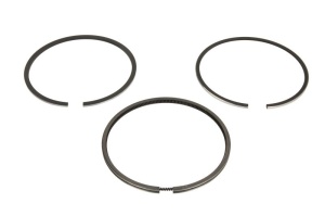 Set de segmente de piston (98,48 +0,06 2,385-4,747-2,385) potrivit URSUS 3110; AKTIV FISCHER M 800 si alte modele