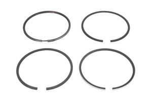 Set segmenti piston (100 STD 3-2-2-4) potrivit FENDT 231 GT TOOL CARRIER, 305 LS FARMER, 305 LSA FARMER, 305 S FARMER, 600 LS FAVORIT, 600 LSA FAVORIT, 610 LS FAVORIT, 610 LSA FAVORIT