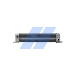 Radiator ulei potrivit FENDT 307 A FARMER, 307 C FARMER, 307 CA FARMER, 307 CI FARMER 2WD, 307 CI FARMER 4WD, 307 LS FARMER, 307 LSA FARMER, 307 LSE FARMER, 307 S FARMER (79x43x43/316mm) - Img 2