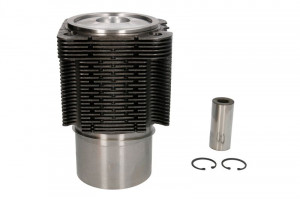 Set piston cu manson (STD) FENDT 200, 300, F; CARRARO 3000, 8,1000, X.1000; DEUTZ FAHR 10000, 2000, 3000, 4000, 5000, 6000, 7000, AGROCOMPACT, AGROLUX, AGROPLUS 4.236-F6L913 - Img 1