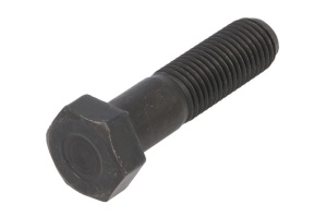 Set reparatie diferential, bolt/surub FENDT 922 VARIO, 924 VARIO, 924 VARIO SCR, 927 S4 VARIO, 927 VARIO, 927 VARIO SCR, 930 S4 VARIO, 930 VARIO, 930 VARIO SCR, 933 S4 VARIO, 933 VARIO