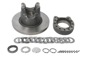 Set reparatie diferential potrivit CARRARO, CATERPILLAR (kit reparare)