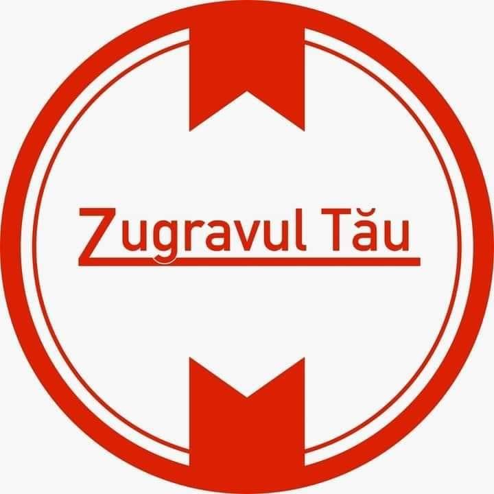 Zugravul tau