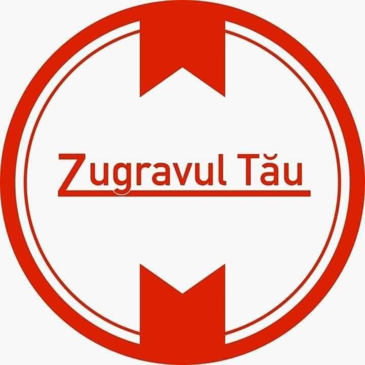 Zugravul tau