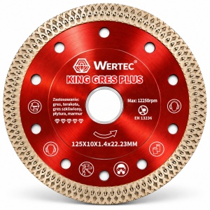 Set 2 discuri diamantate WERTEC Queen Gres + King Gres Plus 125 mm - Img 3
