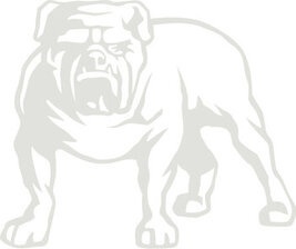 Sapca Bulldog Negru -MIRKA - Img 4