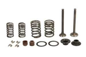 16,5/18,6mm x5mm, Steel, (oil seals; plates; set of valve springs; suction valve) 139QMB; GY6-50 compatibil: CHIŃSKI SKUTER/MOPED/MOTOROWER/ATV 4T; KYMCO AGILITY 50