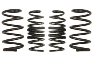 Arcuri coborare, Pro-Kit, 4pcs, (25mm / 10mm); (985kg / 860kg); compatibil: RENAULT CLIO IV 1.6 03.13-