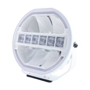 Proiector (LED, 12V)