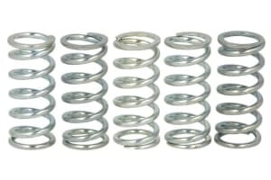 Set arcuri ambreiaj compatibil: CAGIVA MITO 50 1998-2000