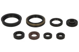 Set garnituri motor compatibil: SUZUKI RM-Z 450 2005-2007