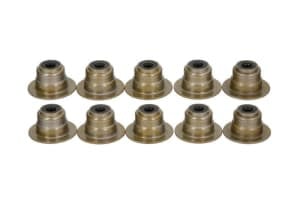 Garnituri valve 10pcs compatibil: POLARIS SCRAMBLER, SPORTSMAN 850 2009-2018