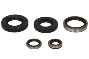 Set garnituri motor compatibil: KAWASAKI KX 250 1982-1982