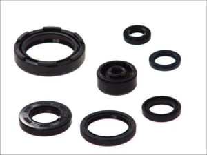 Set garnituri motor compatibil: YAMAHA WR, YZ 250 1988-1997