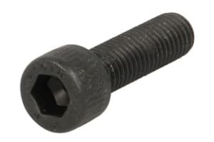 Surub pinion (price per 1pcs.) ZF