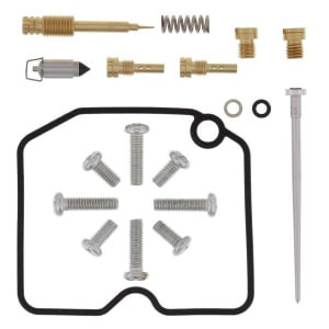 Kit reparație carburator; pentru 1 carburator (utilizare motorsport) compatibil: ARCTIC CAT ARCTIC CAT 366 2008-2011